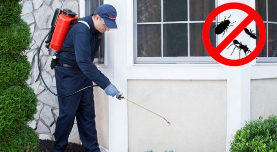 Solhan Bit İlaçlama böcek ilaçlama ve haşere kontrolü — ilaclama-tr.com